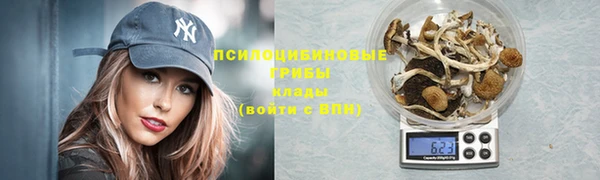 apvp Алексеевка