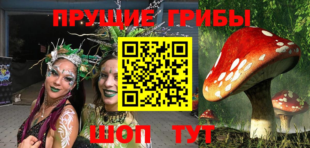Псилоцибиновые грибы прущие грибы Куйбышев