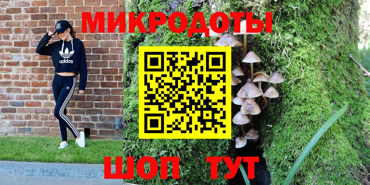 Куйбышев  Галлюциногенные грибы мицелий  Вход с VPN 
